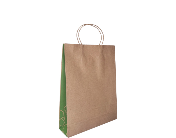 Carry Bag Twist Handles 340x260+80mm Kraft & Green