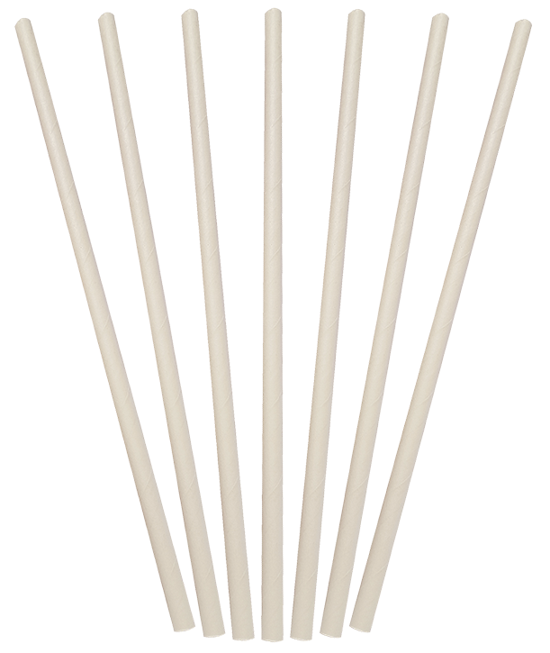 Regular Paper Straw | White