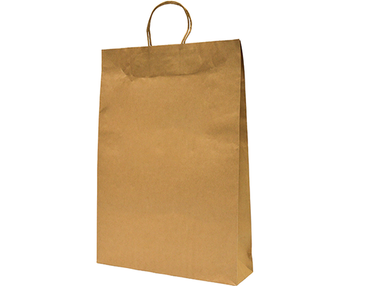 [CA-PCBL] Large Paper Carry Bag | Brown